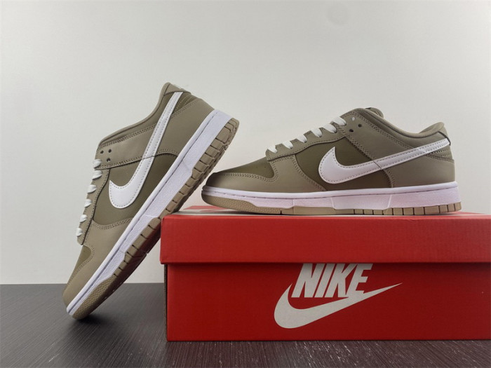 Nike Dunk Low Judge Grey DJ6188-200