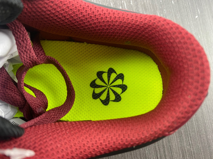 Nike Dunk Low Next Nature Dark Red Black DN1431-002