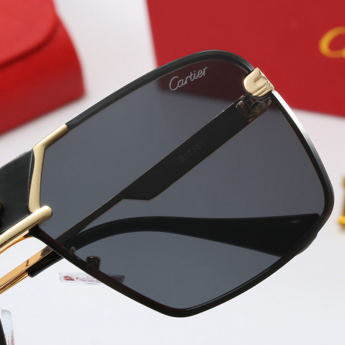 cartier sunglasses 24628-5